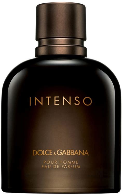 dolce and gabbana for men|dolce and gabbana sale men's.